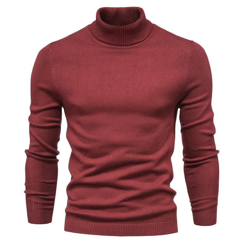 RICCI TURTLENECK