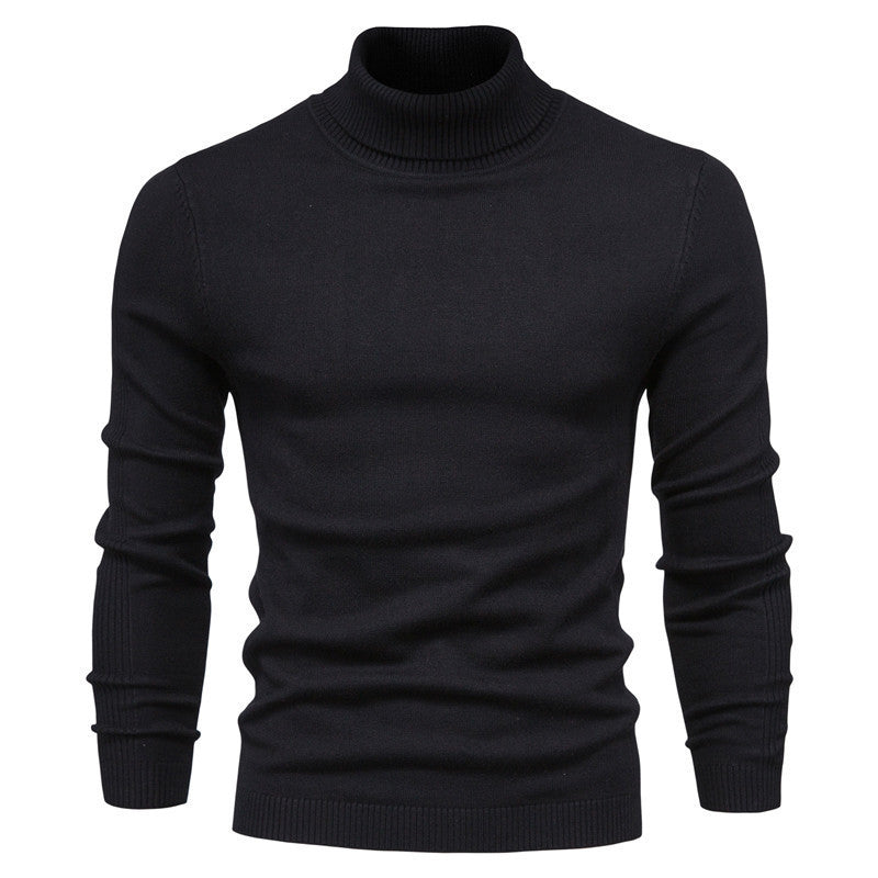 RICCI TURTLENECK