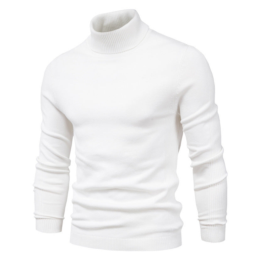 RICCI TURTLENECK